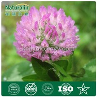 Natural Red Clover Extract