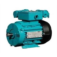 Siemens Motor