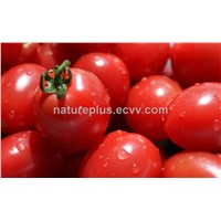 Tomato Extract (Lycopene)