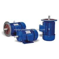 Y series three phase induction motor