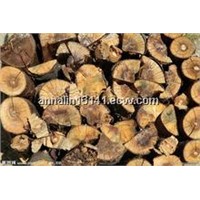 wood import agent in china, square timber import