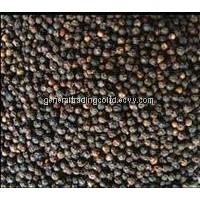 Black Pepper (whole) from Thailand