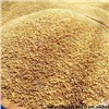 buckwheat extract