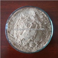 Alkaline Protease for Leather Processing