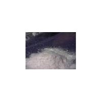 5H-Indeno[5,6-d]-1,3-dioxol-6-amine, 6,7-dihydro-, hydrochloride