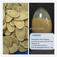 Astragalus Extract