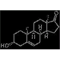 Dehydroepiandrosterone