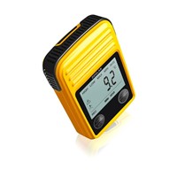 Mini-T Portable Data Logger for Temperature