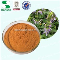 Qualified Natural Salvia extract 10%-98% salvianolic acid