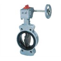 TOMOE  Butterfly Valves