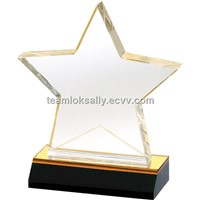 Wholesale Acrylic star award designs