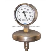 Wika diaphragm pressure gauge