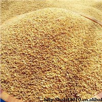 buckwheat extract