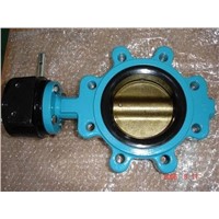lug butterfly valve Gear Operator SS304 Disc PN16