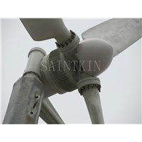 small size wind turbine/wind generator 300w Hawt (sk-5400)