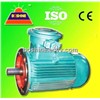 Explosion Proof Electrical Motor