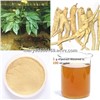 High quality Panax Ginseng Root Extract, Ginsenosides 5%-65%HPLC