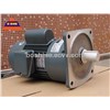 Single Phase Helical Geared G3 Motor