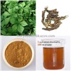 High quality Chinese Siberian Ginseng Extract, Eleutheroside 0.8%-2.0%HPLC