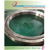 Special Slewing Bearing