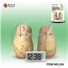 education and science  potato clock set toy