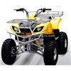 Maxi X9 150cc Sport /Utility ATV