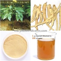 High quality Panax Ginseng Root Extract, Ginsenosides 5%-65%HPLC