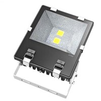 100W Waterproof LED Floodlight with Bridgelux Chip