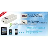 8000mah Universal Mobile Phone Power Bank Charging for Travelling with LED Torch