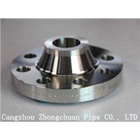 ASTM 316L Stainless Steel RF Flange