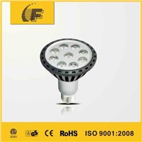 China LED Par lamp