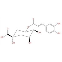 Cryptochlorogenic acid; 5-Caffeoylquinic acid   905-99-7