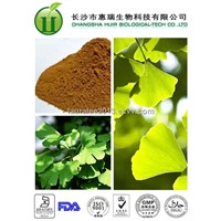 Ginkgo biloba extract , Ginkgo biloba P.E