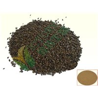 High Quality Cassia seed extract