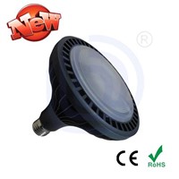 LED PAR38