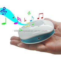 Mini speaker with FM radio