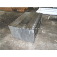 OEM Forged Stainless Steel Block