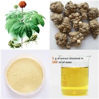 High quality Panax Notoginseng Root Extract, saponins 10-60%HPLC