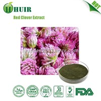 Red Clover extract isoflavone  8%   20%   40%