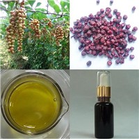 High quality Schisandra Chinensis Oil, Oleic acid 55%