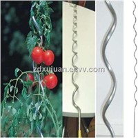 Tomato Spiral Wire (Materials:.low carbon steel Q195,Q235 or Mild steel.)