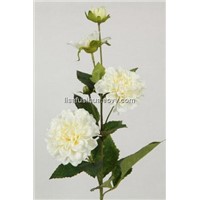 White Artificial Zinnia Cream Flower27380