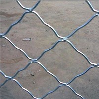 galvanized Guarding mesh&amp;amp;Beautiful grid mesh&amp;amp;Meg nets(professional factory)