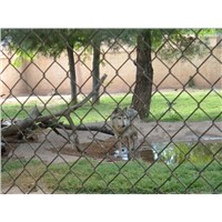 stainless steel zoo netting, chain link fence