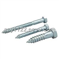 Hex Head Wood Screw DIN571