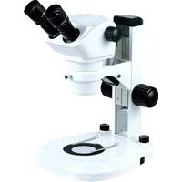 MS650B Zoom Stereo Microscope