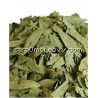 Olive Leaf Extract Oleuropein 5%-50%HPLC