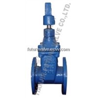 Soft Sealing Resilient Seat Gate Valve To BS5163