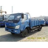 T.KING 1 Ton Light Cargo Truck