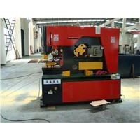 Multi Functional Iron Worker Q35Y